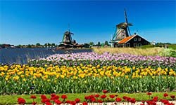50+ korting uitstapjes
